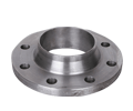 Kaynak Boyunlu Flanş