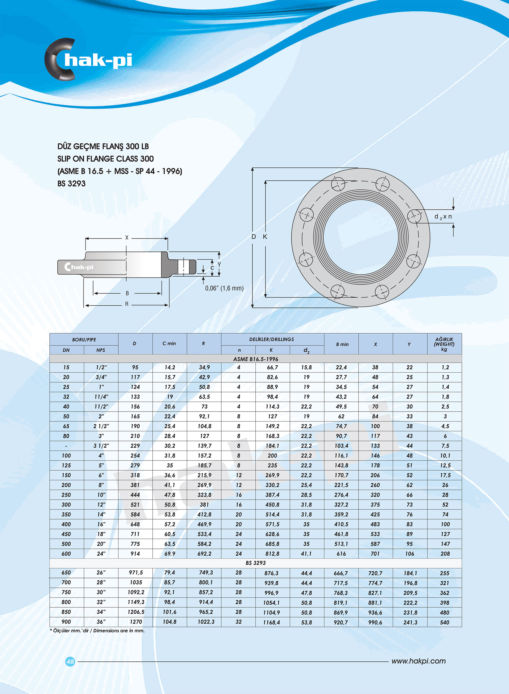 300 Libre Slip On Çelik Flanş